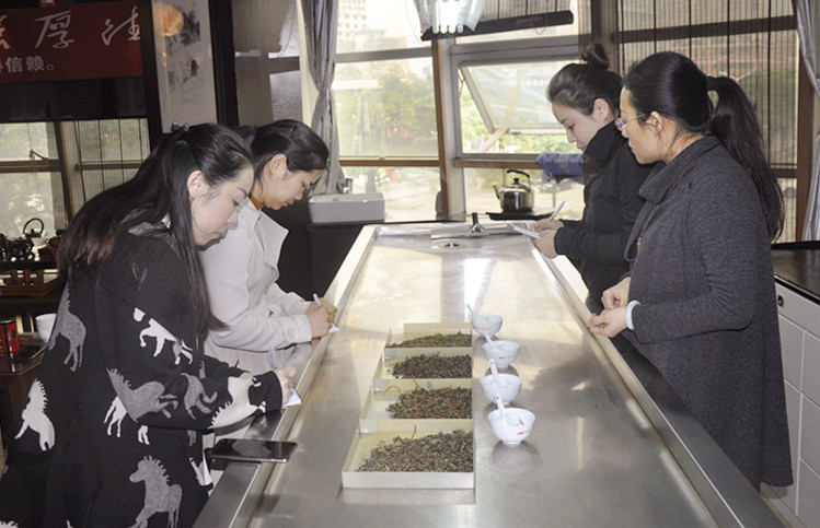 2025年暑假茶艺师培训精选